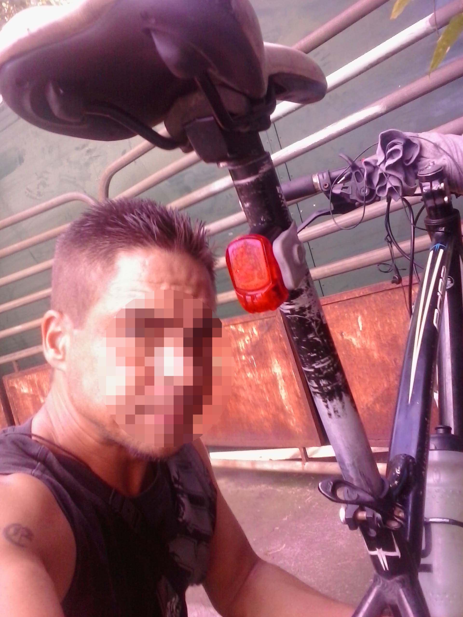plan cul 73 bogoss brun plan cul 73 bogoss brun