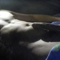 rencontre sex sur lorient avec beau male muscle